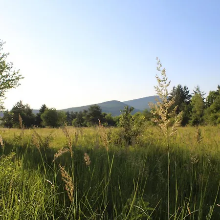 Kuckozo Vendeghaz * Mogyoroska