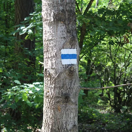 Kuckozo Vendeghaz Шале