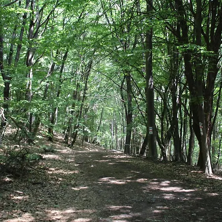 Kuckozo Vendeghaz Шале Mogyoroska