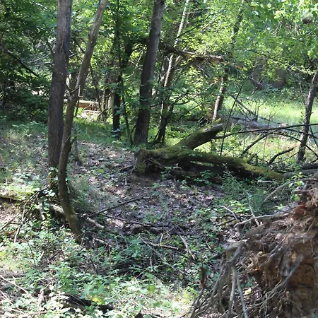 Шале Kuckozo Vendeghaz Mogyoroska