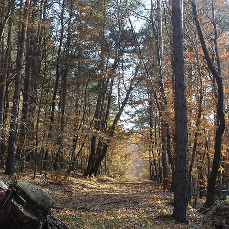 Kuckozo Vendeghaz Mogyoroska