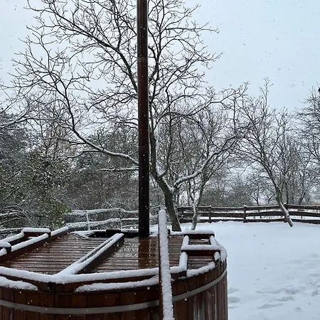 Kuckozo Vendeghaz * Mogyoroska